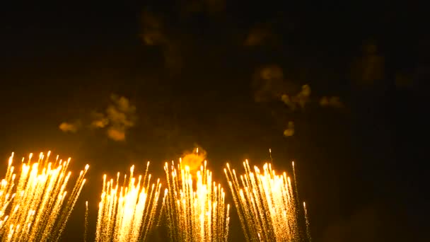 Fogos de artifício no céu noturno — Vídeo de Stock