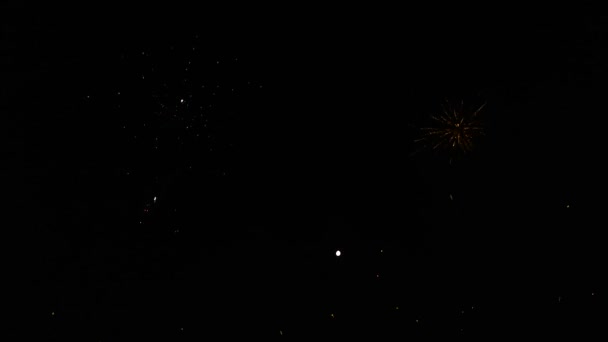 A háttérben a tűzijátékok emberek sziluettek — Stock videók