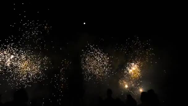 Mensen op zoek naar nieuwe jaar vuurwerk — Stockvideo