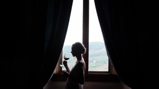 Vrouw drinken van wijn naast het venster — Stockvideo