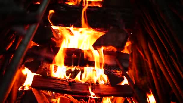 Le feu a brûlé à gros plan — Video