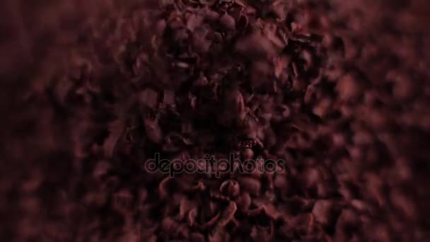 A grated chocolate close up — Stock Video