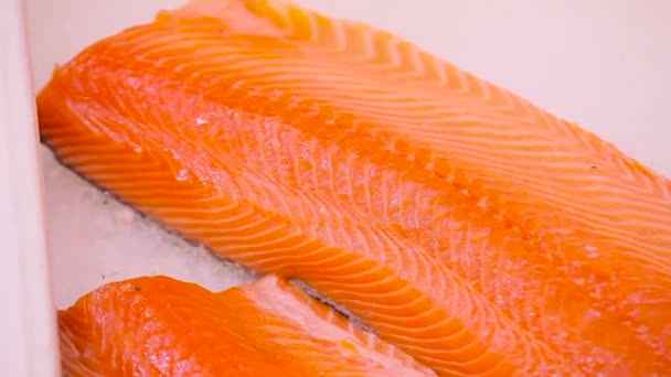 Filetes de salmón sobre hielo en el supermercado — Vídeo de stock