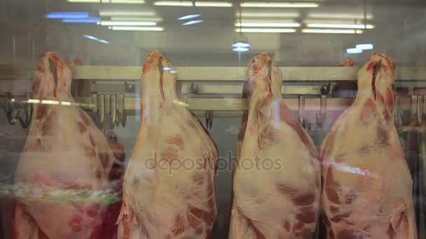 těla uhynulých zvířat v oddělení masa ze supermarketu