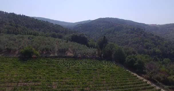 Vista aérea de los viñedos italianos — Vídeo de stock