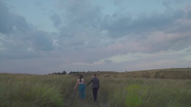 Couple walking in a field — Stock Video