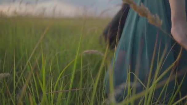 Дівчина рука через траву — стокове відео