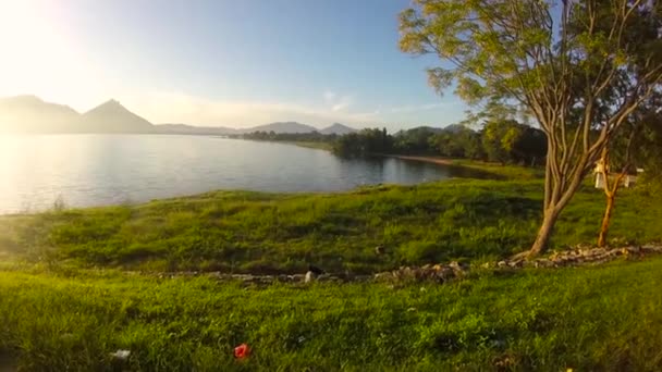 Hermoso lago y vegetación alrededor — Vídeos de Stock