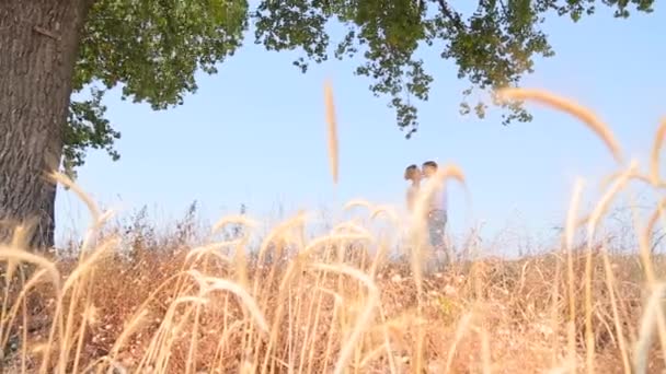 Пара цілується в полі — стокове відео