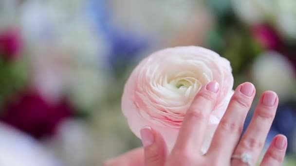 Una chica acaricia una flor — Vídeos de Stock