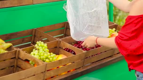 Fille met des fruits dans des boîtes — Video