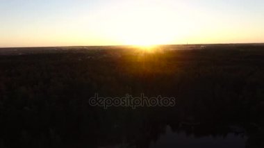 Güneş batmadan ormanın üzerinde