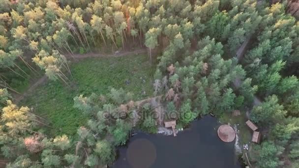 Een meer in het midden van het bos — Stockvideo