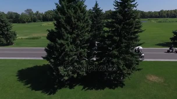 Caras se divertir em carros de golfe — Vídeo de Stock