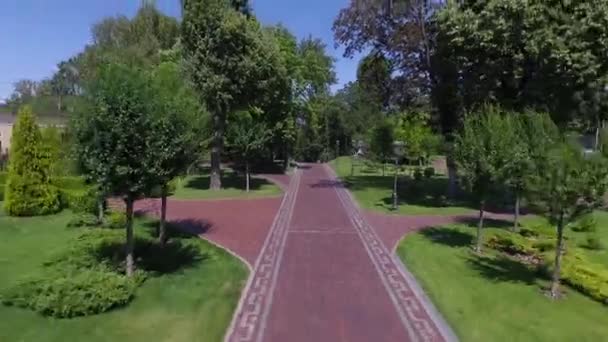 Compañía de amigos en el parque — Vídeo de stock