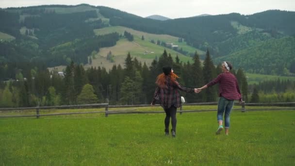 Chicas amigas caminando cogidas de la mano en las montañas valle — Vídeos de Stock