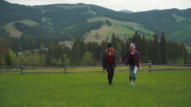 Chicas amigas caminando cogidas de la mano en las montañas valle — Vídeos de Stock