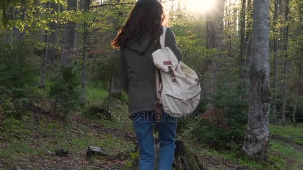 Девушка с рюкзаком в лесу — стоковое видео