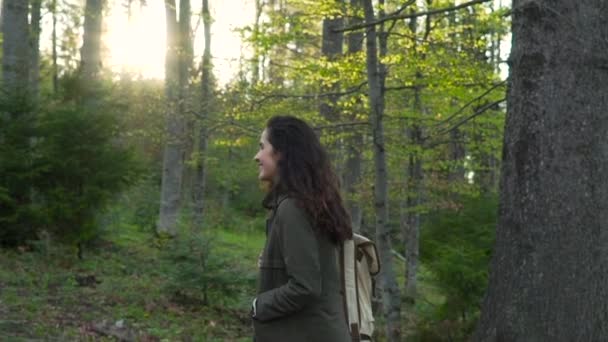 Menina turista andando na floresta — Vídeo de Stock