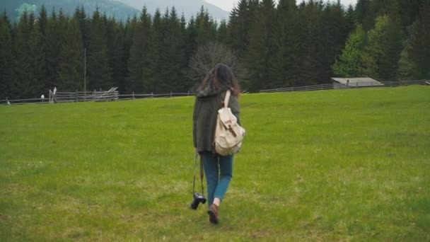 Menina com mochila e câmera andando perto da floresta — Vídeo de Stock