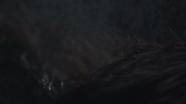 kız ağır çekim saçının nemlendirici