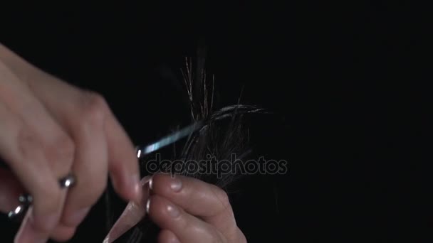 Le coiffeur coupe les pointes des cheveux — Video