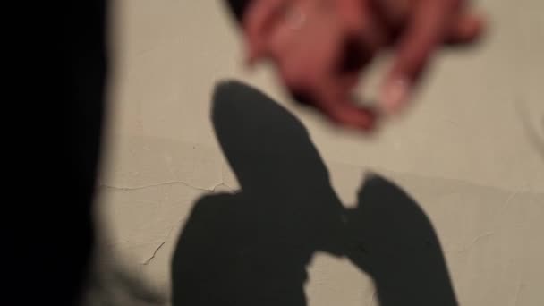 Sombra de la pareja de besos — Vídeo de stock