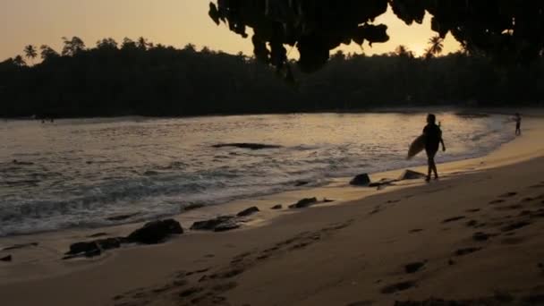 Fille avec planche de surf marchant au coucher du soleil — Video