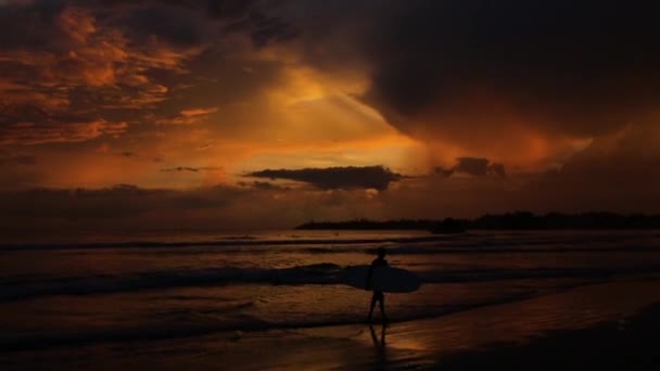 Man met surfboard bij zonsondergang — Stockvideo