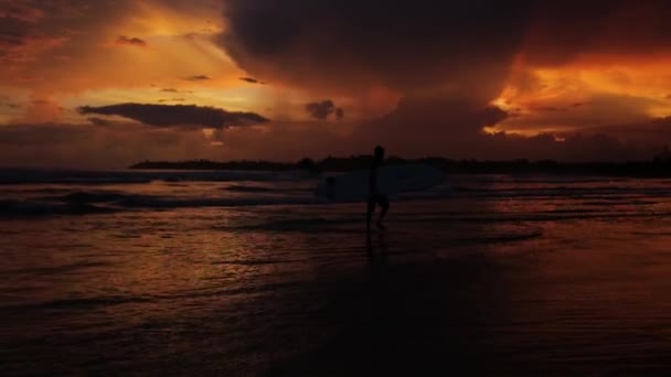 Surfer na plaży o zachodzie słońca — Wideo stockowe