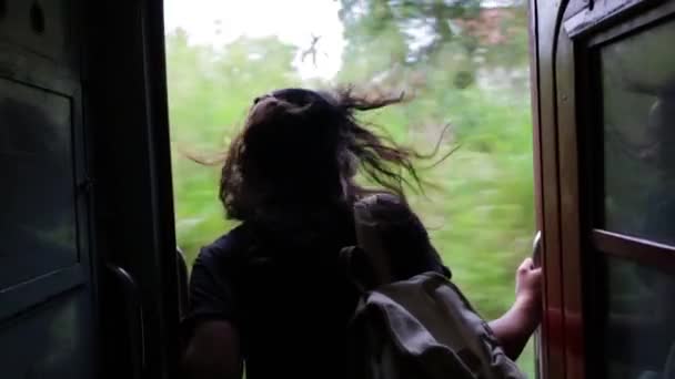 A menina está viajando de trem — Vídeo de Stock