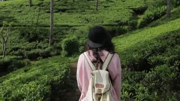 Chica con una mochila en una plantación de té — Vídeos de Stock