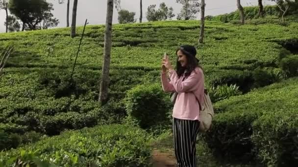 Turista menina em uma plantação de chá — Vídeo de Stock