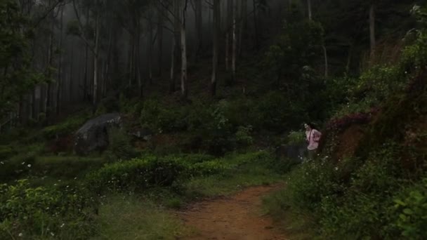 Het meisje met de rugzak is wandelen in het bos — Stockvideo