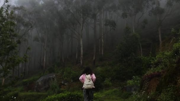 The girl is walking in the wood — стоковое видео