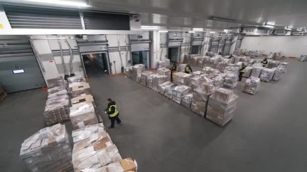 Personnes travaillent dans un centre logistique — Video