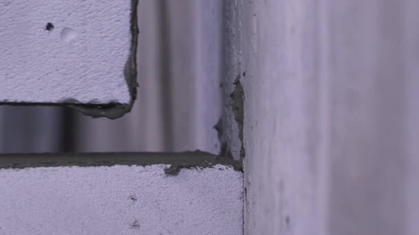 Ziegel auf Beton in Nahaufnahme legen — Stockvideo