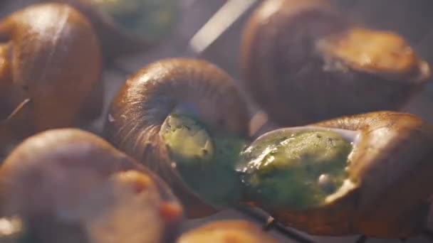 Snails are cooking on grill close-up — Stock Video