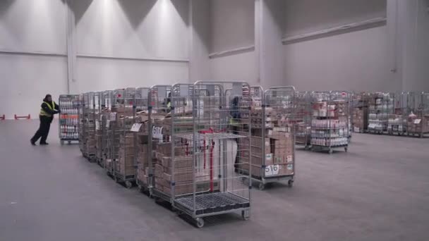 Trabajadores trasladan mercancías en el centro logístico — Vídeo de stock