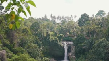 Orman şelalesi güneşli havada