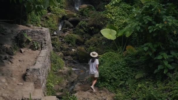 Menina caminha na natureza na cachoeira — Vídeo de Stock