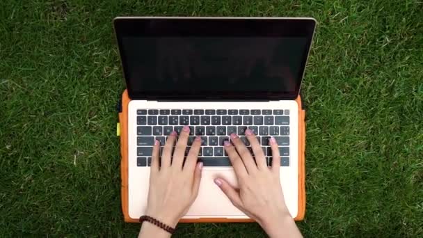 Kız çimlerin üzerinde dizüstü bilgisayar kullanıyor. — Stok video