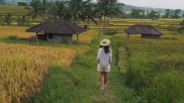 Bali 'de pirinç tarlalarında yürüyen bir kız.