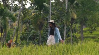 Kız pirinç tarlalarında yürüyor.