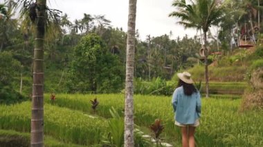 Bali 'de pirinç tarlalarında yürüyen bir kız.