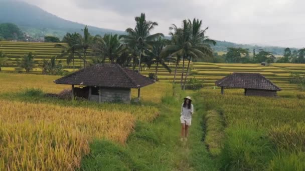 Tourist girl walking among rice fields — Stock Video