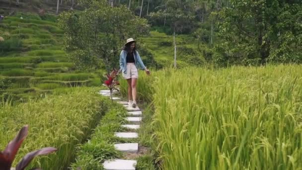 Meisje wandelen tussen rijstvelden in Azië — Stockvideo