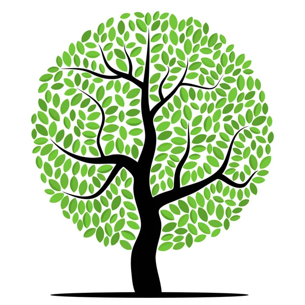 Vektorbaum mit grünen Blättern — Stockvektor