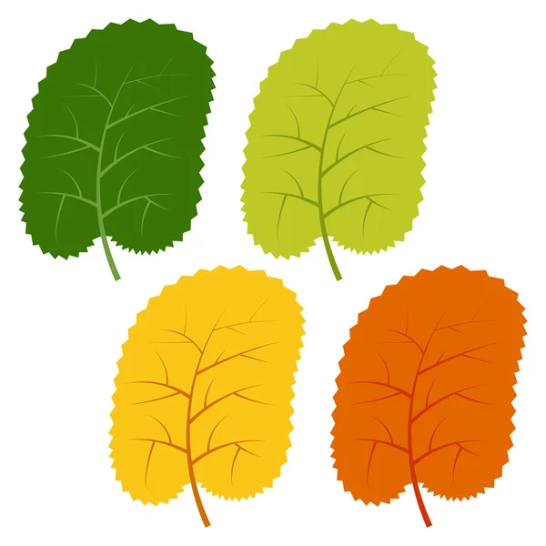 Set aus grünen, gelben und roten Blättern isoliert auf weißem Hintergrund — Stockvektor