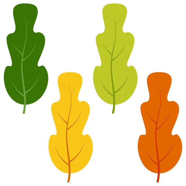 Zestaw zielony, żółty i czerwony liści na białym tle — Wektor stockowy
